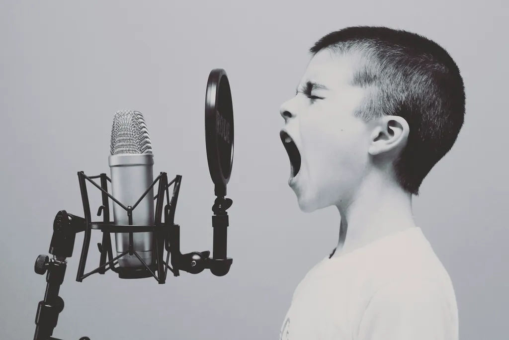 Boy shouting into a studio microphone, the kind of line the echo voice effect makes huge